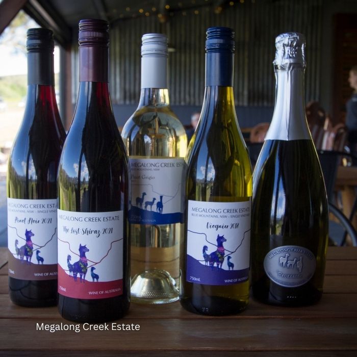 Megalong Valley Wine Tastings - Private Transport
