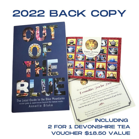 Out of the Blue Back Copy - 2022 guidebook