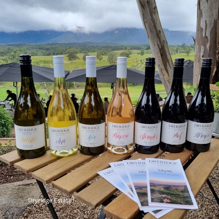 Megalong Valley Wine Tastings - Private Transport
