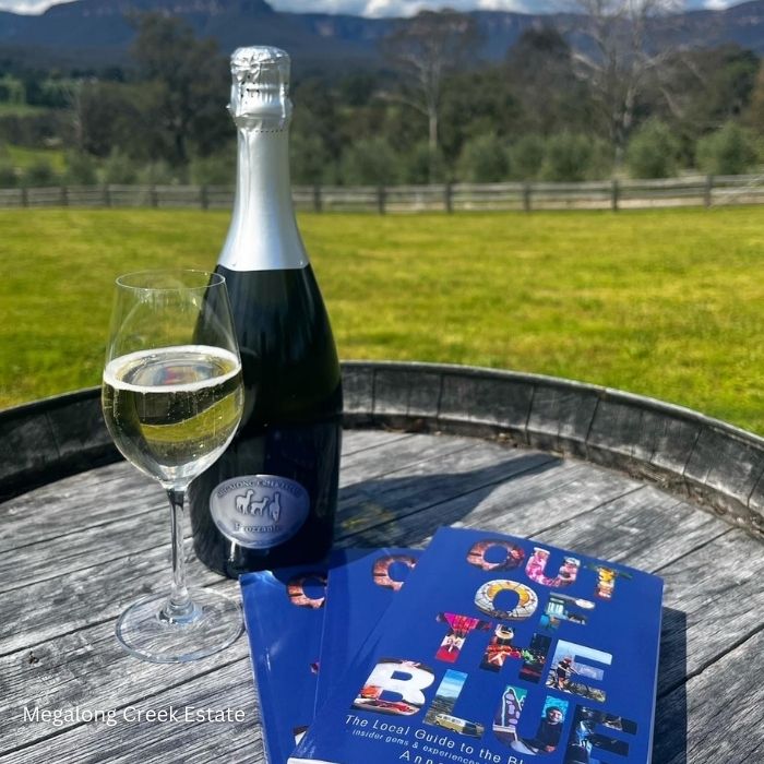 Megalong Valley Wine Tastings - Private Transport